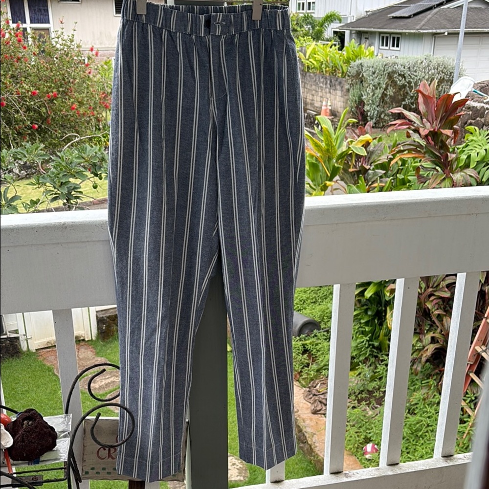 John Galt California Blue And White Stripped Pants